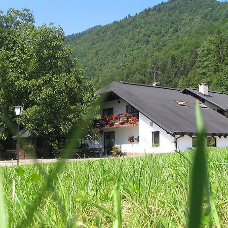 Guest House Atelsek Recica ob Savinji Екстер'єр фото