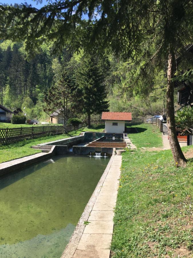 Guest House Atelsek Recica ob Savinji Екстер'єр фото